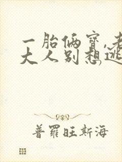 一胎俩宝,老婆大人别想逃1893