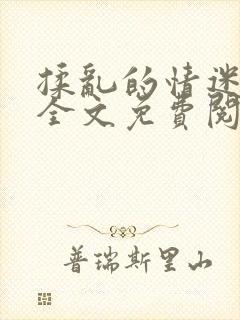 揉乱的情迷小说全文免费阅读