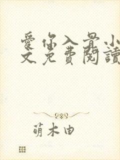 爱你入骨小说全文免费阅读封面
