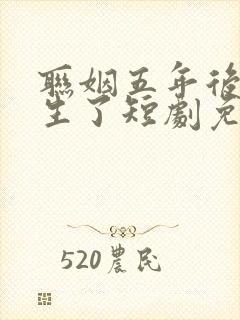 联姻五年后她重生了短剧免费全集