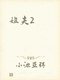 姐夫2