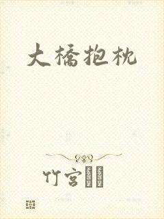 大桥抱枕封面