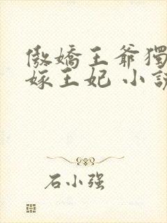 傲娇王爷独宠替嫁王妃 小说