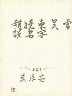 赵晓东吴雪晴小说名字