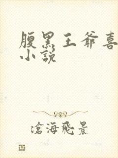 腹黑王爷喜当爹小说