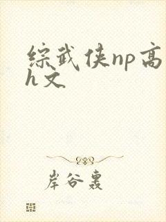 综武侠np高辣h文