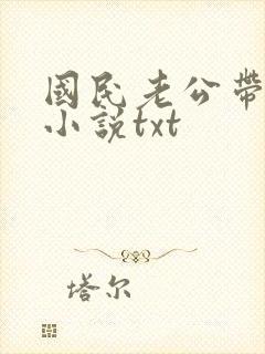 国民老公带回家小说txt