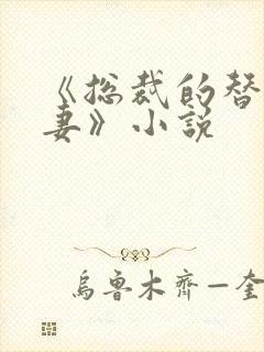 《总裁的替身前妻》小说