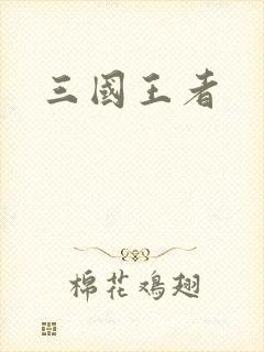 三国王者封面