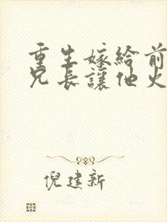重生嫁给前夫他兄长让他火葬场