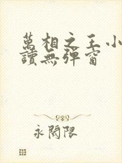 万相之王小说阅读无弹窗封面