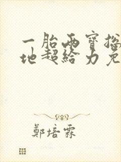 一胎两宝总裁爹地超给力免费阅读封面