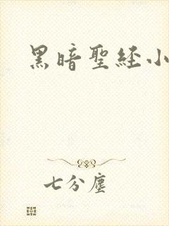 黑暗圣经小说