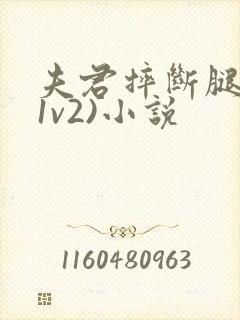 夫君摔断腿后(1v2)小说