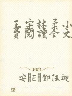 王宇林柔小说免费阅读全文最新章节封面