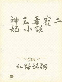 神王毒宠二嫁王妃 小说