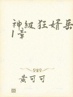 神级狂婿岳风21章