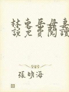 林东岳母妻子小说免费阅读全文