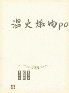 温火炖肉pop