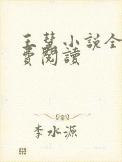 王慧小说全文免费阅读封面