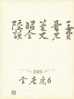 陆昭菱晋王的小说全文免费阅读