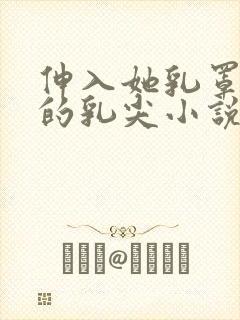 伸入她乳罩揉她的乳尖小说