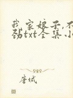 我家娘子,不对劲txt全集小说封面