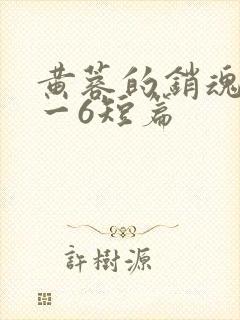 黄蓉的销魂夜1一6短篇封面