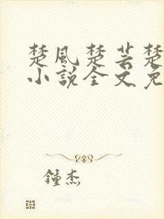 楚风楚芸楚鸿飞小说全文免费阅读