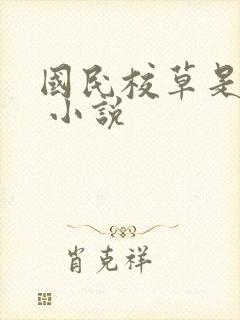 国民校草是女生 小说