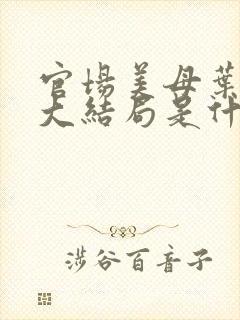 官场美母叶玉瑶大结局是什么