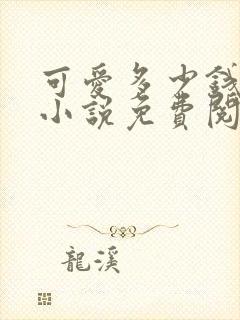 可爱多少钱一斤小说免费阅读无弹窗封面