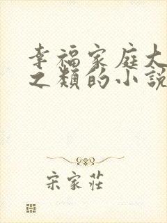 幸福家庭大杂烩之类的小说