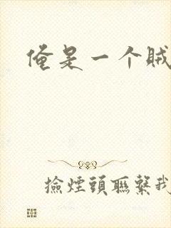 俺是一个贼