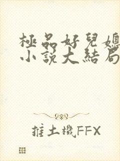极品好儿媳老旺小说大结局封面