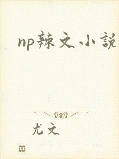 np辣文小说