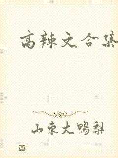 高辣文合集高h