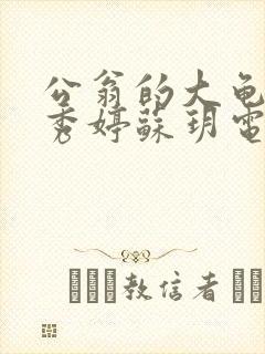 公翁的大龟挺进秀婷苏玥电影封面