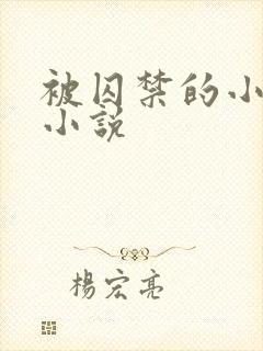 被囚禁的小女孩小说