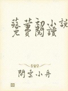 苏若初小说全文免费阅读封面