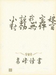 小说我家娘子不对劲无弹窗无广告