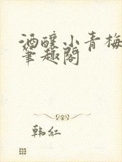 酒酿小青梅po笔趣阁封面