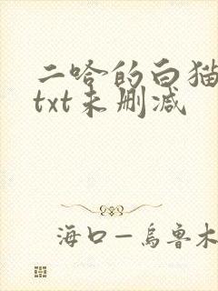 二哈的白猫师尊txt未删减封面