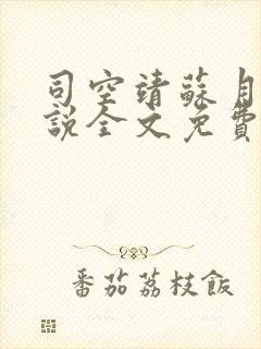 司空靖苏月汐小说全文免费阅读