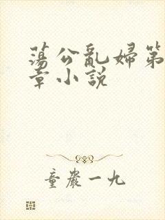 荡公乱妇第51章小说