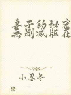 妻子的秘密日剧无删减版在线观看封面
