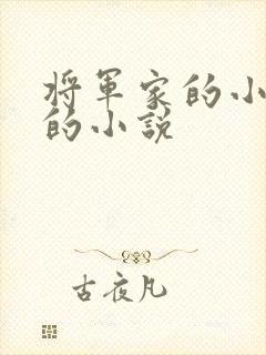 将军家的小娇娘的小说