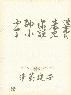 少帅你老婆又跑了小说免费阅读