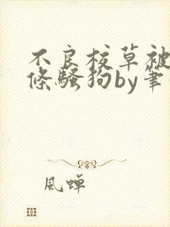 不良校草被训成条骚狗by笔趣阁免费阅