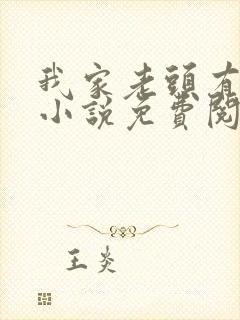 我家老头有点多小说免费阅读无弹窗封面
